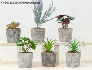 Macetas para Plantas Suculentas en Oferta, Macetas de Cemento Artificial para Plantas, Decoración Creativa de Escritorio con Plantas Suculentas - Product Image 5