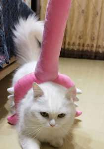 Juguete de Peluche de Usagi, Palo Mágico de la <span class=keywords><strong>Cruzada</strong></span> Kawaii, Palo Mágico de Chica Mágica - Product Image 6