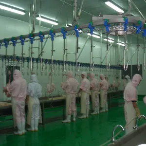 Poultry Evisceration Automatic Convey Rail Abattoir Equipment For Slaughterhouse