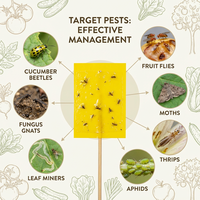 Pièges à insectes pour arbres fruitiers, plaques collantes jaunes et bleues intégrées, lutte antiparasitaire sans pesticide pour plantes vertes
