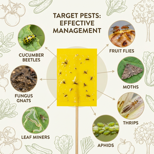 Pièges à insectes pour arbres fruitiers, plaques collantes jaunes et bleues intégrées, lutte antiparasitaire sans pesticide pour plantes vertes - Product Image 3