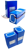 Batterie Lithium-Ion Rechargeable Personnalisée 3.7V 7.4V 10.8V 11.1V 12V 14.8V 22.2V 44.4V 18650 21700 pour Robot Télécommandé