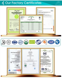 USA & EU Kho bán buôn tinh khiết tự nhiên dừa hữu cơ nước ép bột trong số lượng lớn - Product Image 6