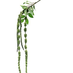Vente en gros usine : Feuillage artificiel d'amarante vert, feuillage suspendu pour la décoration de la maison, des mariages et des événements floraux - Product Image 3