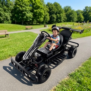 Motor BLDC de 750W con Eje de Transmisión Hidráulico para Adultos, 48V 20Ah, 70km/h, Ruedas de 80cm, Carga de 200kg, para Exteriores - Product Image 2