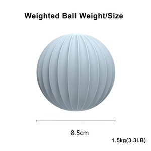 Yoga Pilates & <b>Weight</b> Balls 1.5KG Silicone Iron Core Handheld Isotonic Shoulder Strength Training Equipment Built-in Iron - Product Image 3