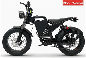 Vélo électrique 20 pouces sans balais 800W 48V avec batterie au lithium, autonomie 60km, noir, moteur moyeu arrière tout-terrain, freins à disque, 7 vitesses, haute performance - Product Image 3
