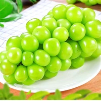 Premium Export Groene Druiven Hoge Suikergehalte Grote Bes 12g Vers Fruit Zonneschijn Roos Druiven voor Supermarkt