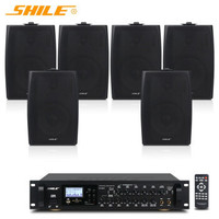 Système de sonorisation professionnel SHILE AV8820 BX-105 pour scène, mariage/salle de conférence, amplificateur, microphone, pack combo 6,5 pouces