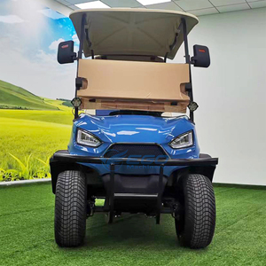 Carrito de Golf Eléctrico Personalizable de 2 Plazas con GPS, Batería de 48V, Certificado Dot Ce, Disponible para la Venta - Product Image 5