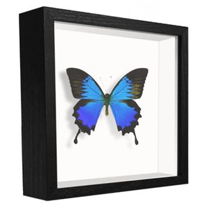 <strong>Photo</strong> <strong>Frame</strong> White 3d Deep Art Picture <strong>Frame</strong> Box Dried Flower Leaves Wood MDF Shadow Box <strong>Photo</strong> <strong>Frame</strong> <strong>A4</strong> A3 - Product Image 2