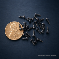 Vis autotaraudeuse micro à tête hexagonale SS304, à empreinte Phillips, noire, métrique, droite, pour montres, caméras, équipements médicaux, électronique et dispositifs portables