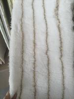 Rouleau de peinture en tissu 100% polyester écologique respirant 750 g/m² 160 cm de largeur, prêt à être expédié