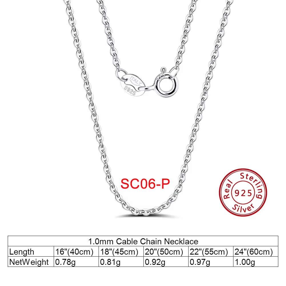 SC06-P