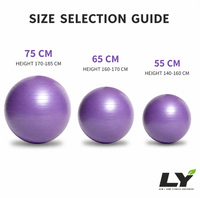 Ballon de yoga anti-éclatement avec pompe, ballon d'équilibre antidérapant 45-85 cm pour yoga, pilates, fitness, grossesse et entraînement d'équilibre