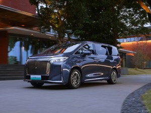 WEY Gaoshan <span class=keywords><strong>9</strong></span> AWD 6 places Premium PHEV MPV 2025 avec Hi4 LiDAR - Product Image 3