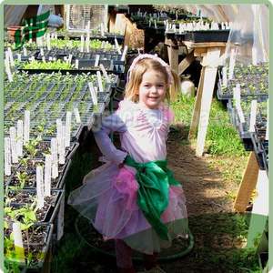 Bandeja de germinación de <span class=keywords><strong>semillas</strong></span> de poliestireno - Product Image 6