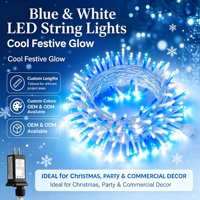 Guirlandes lumineuses LED personnalisées IP65, étanches, pour l'extérieur, pour les fêtes, les jardins, les arbres, les mariages, la terrasse, la décoration de la maison