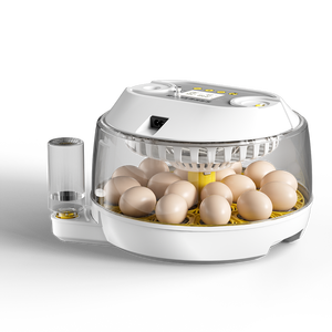 2026 कारखाने प्रत्यक्ष आपूर्ति नए डिजाइन 18 चिकन अंडे इनक्यूबेटर और 79 क्वेल अंडे इनक्यूबेटर डिजिटल तापमान नियंत्रण - Product Image 1