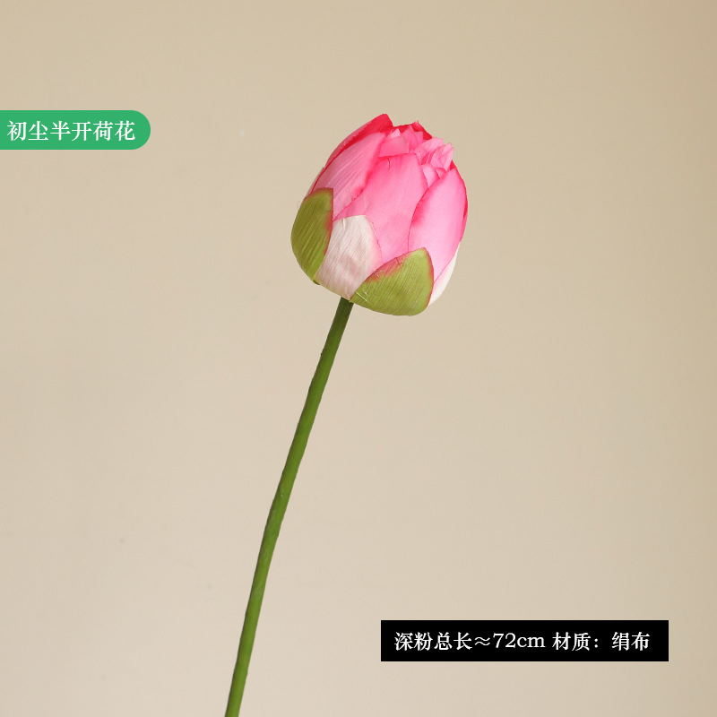 Polvo de loto medio abierto