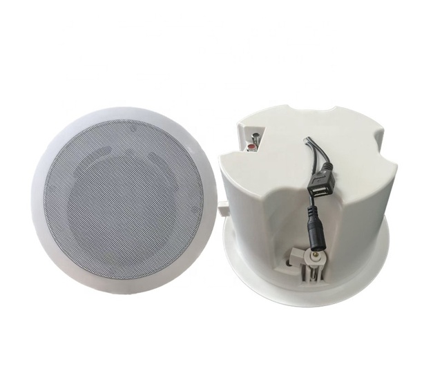 5 Inch Coaxial Speaker 30W 15V/2A Bluetooth USB ABS Ceiling Active Speaker OEM ODM Factory Direct Sale High Quality Good Sound