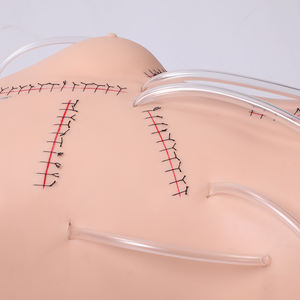 DARHMMY PVC Model pengajaran medis, manekin Bedah jahitan dan pembebat untuk sains medis - Product Image 3