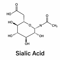 Poudre d'acide N-acétylneuraminique 98% CAS 131-48-6 Acide sialique pour l'alimentation et les cosmétiques, dérivé de la fermentation