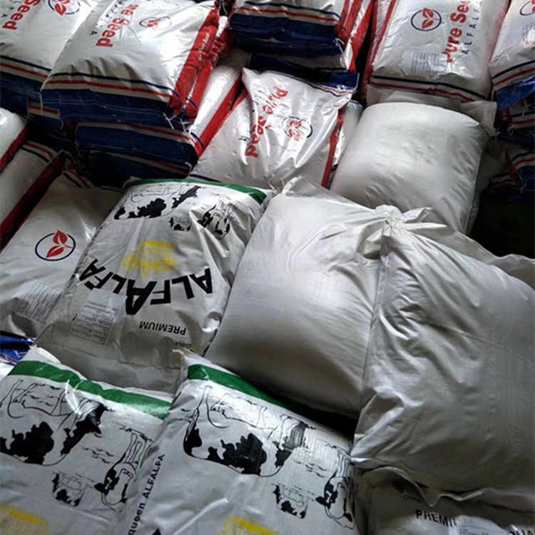 grass seeds for animals