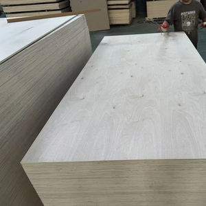 <span class=keywords><strong>Plaque</strong></span> de <span class=keywords><strong>contreplaqué</strong></span> de bouleau stratifié marin filmé 122x244cm, <span class=keywords><strong>contreplaqué</strong></span> MDF 4x8 - Product Image 1