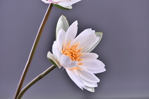 LO-525 Vente en gros de 60 cm, 2 tiges, bouquet de fleurs de lotus artificielles, fausses fleurs de lys pour la décoration de la maison et des mariages - Product Image 4