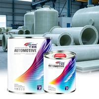 Pintura Epoxi Líquida en Aerosol para Automóviles, Color Personalizado con Excelente Resistencia a los Arañazos y Larga Vida Útil