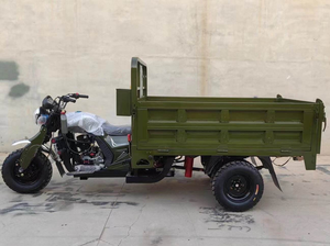 Nouveau Style Tricycle 250CC Passagers et Marchandises, Moto Tricycle à Essence Cinq Roues - Product Image 4