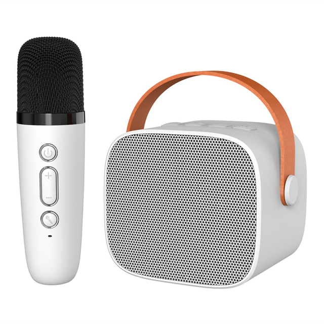 KENUO Family Party Home Handheld Portable Wireless Karaoke Recharge Speaker With Dual Microphone