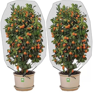 Filet de protection pour plantes avec cordon de serrage, pour arbres fruitiers, légumes, <span class=keywords><strong>anti</strong></span>-oiseaux et insectes, couverture de jardin 0.8x1m 1x1.5m 1.2x1.8m 1.8x2m en PP réutilisable - Product Image 1