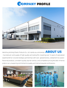 High Flatness Transparent PET Protective Film Clear Visibility Lamination Roll High Light Transmittance Anti Aging Dust Proof