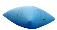 Haute Qualité PVC EVA TPU Portable Stockage De L'eau Potable Réservoir De Récolte Capacité 1000L Bon Prix Huile Vessie Sac Usage Domestique Au Détail