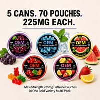 Sachets Énergétiques Naturels à la Caféine Marque Blanche OEM – Soutien Cérébral, Énergie au Guarana, Sans Nicotine, Supplément en Vrac