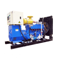 80kw 100kva 엔진 바이오 공장 발전기 전기