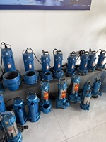 Pompe submersible pour eaux usées en acier inoxydable, certification CE, débit de 100-500 L/min, garantie de 2 ans, contrôle entièrement automatique pour