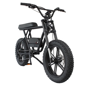 Moteur électrique 750W + vélo, cadre en alliage d'aluminium, pour la plage - Product Image 1