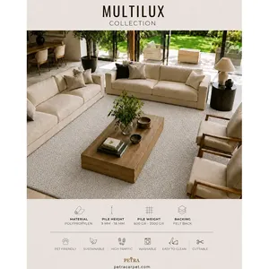 Alfombra de Polipropileno Petra Multilux 90356 Gris Claro, Lavable a Máquina, Apta para Mascotas, Cortable, para Dormitorio y Sala de Estar - Product Image 3