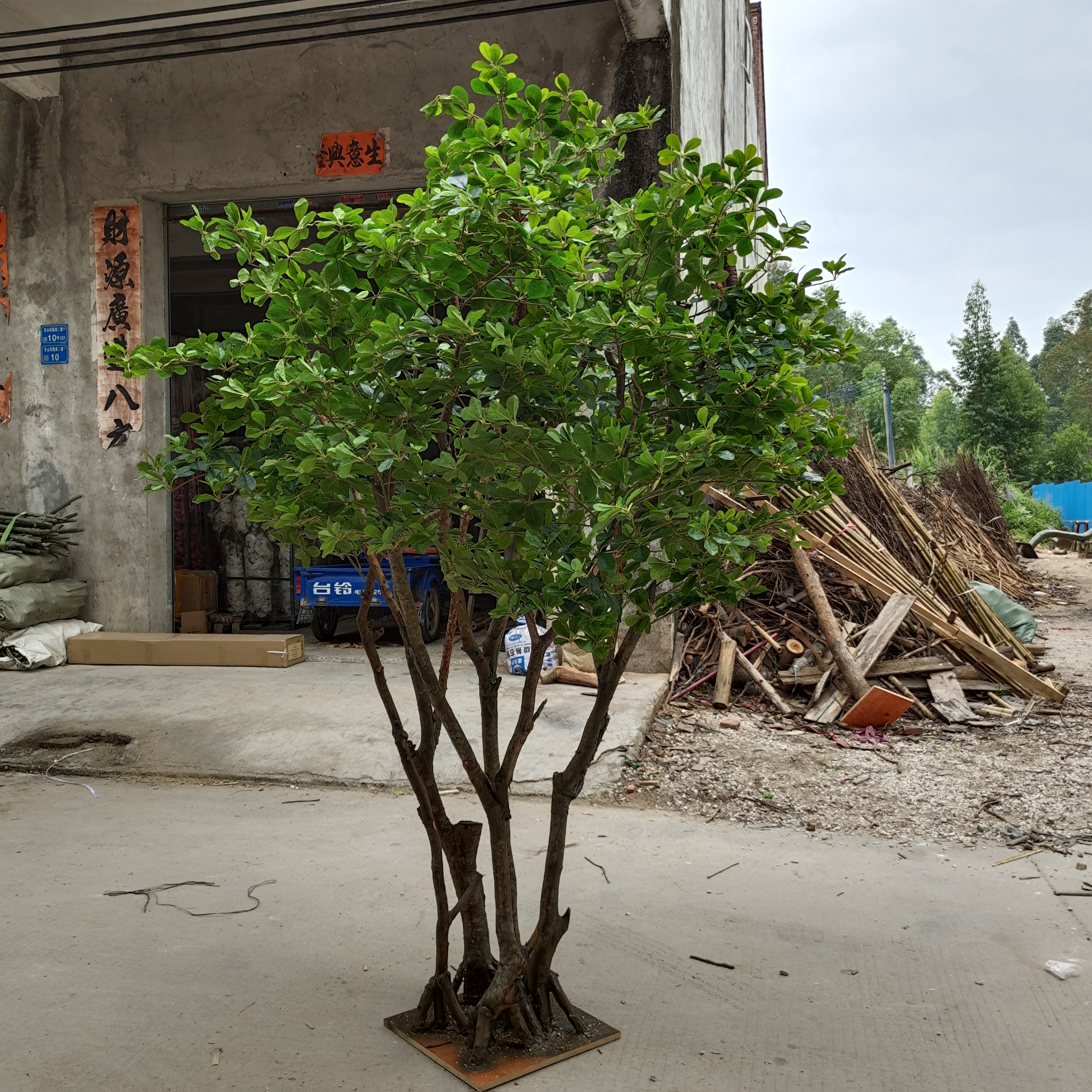 つき 2x 12V 10Ah Sealed Lead Acid Battery For Enduring CB10-12