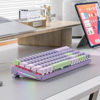 Clavier mécanique FreeWolf K65 personnalisé pour l'e-sport, clavier de jeu mécanique filaire à commutation à chaud pour le bureau et les jeux