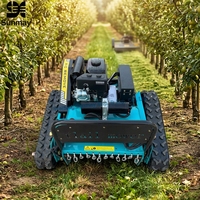 Tondeuse à gazon RC intelligente avec deux roues motrices, largeur de coupe de 500 mm, pour la coupe de l'herbe sur les pentes