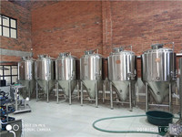 Technologie allemande 300L 500L Micro Brasserie Équipement de fermentation pour le brassage de bière à petite échelle