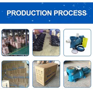 <span class=keywords><strong>Pompe</strong></span> de <span class=keywords><strong>piscine</strong></span> électrique de haute qualité pour les piscines - Product Image 6