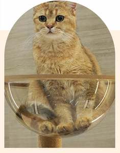 Tour à chat multi-niveaux de 65 pouces, arbre à chat, grand cadre d'escalade, grattoir, composants en bois, tour à chat, vente chaude, approvisionnement en usine - Product Image 4