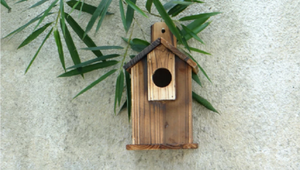 Bolujunji — maison à oiseaux <span class=keywords><strong>en</strong></span> <span class=keywords><strong>bois</strong></span>, mise à niveau automatique, nid d'extérieur, bac à oiseaux - Product Image 5