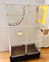 Cage à oiseaux de luxe en fer forgé épaissi, style villa, revêtement poudré, sûre et écologique, pour usage intérieur et extérieur