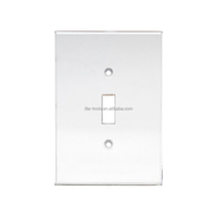 CRL Clear Duplex Plug Plaque de miroir Acrylique Miroir Plaques murales Couvercle d'interrupteur de lumière